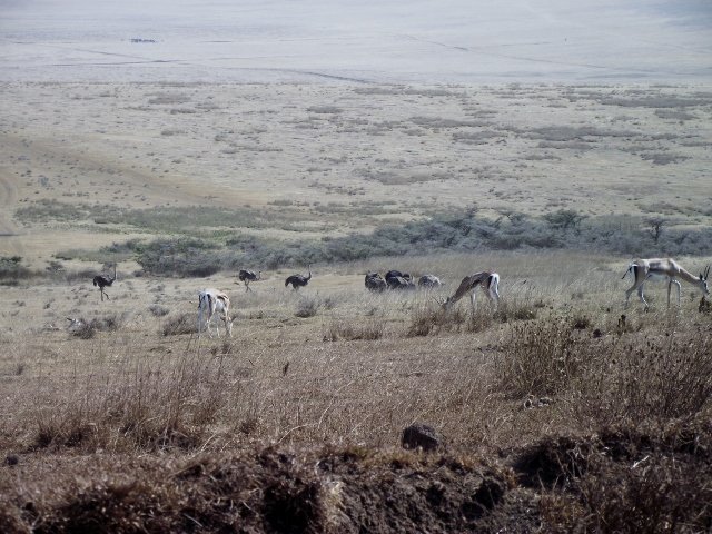 Tanzania 053